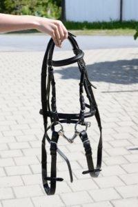 Bridle Cleaning