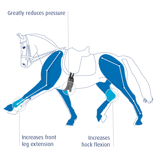 Why Your Horse Needs A Prolite Girth Naylors Blog Naylors
