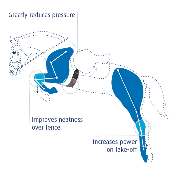 Prolite Girth Benefits  - Long