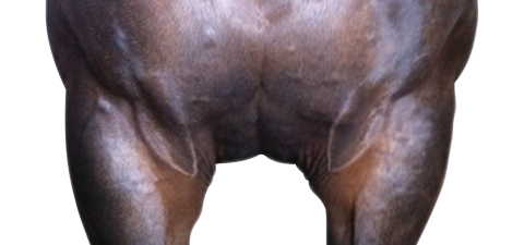 More than 20cm - Standard