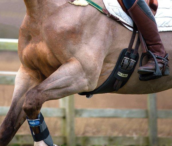 Prolite Girth - Short