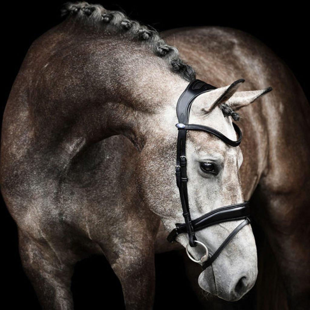 Equestrian quality products for both horses and riders • PS of Sweden