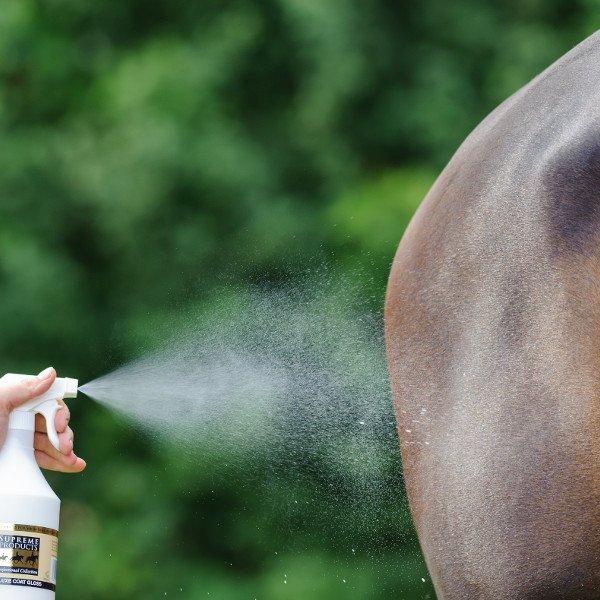 Supreme Products Coat Gloss