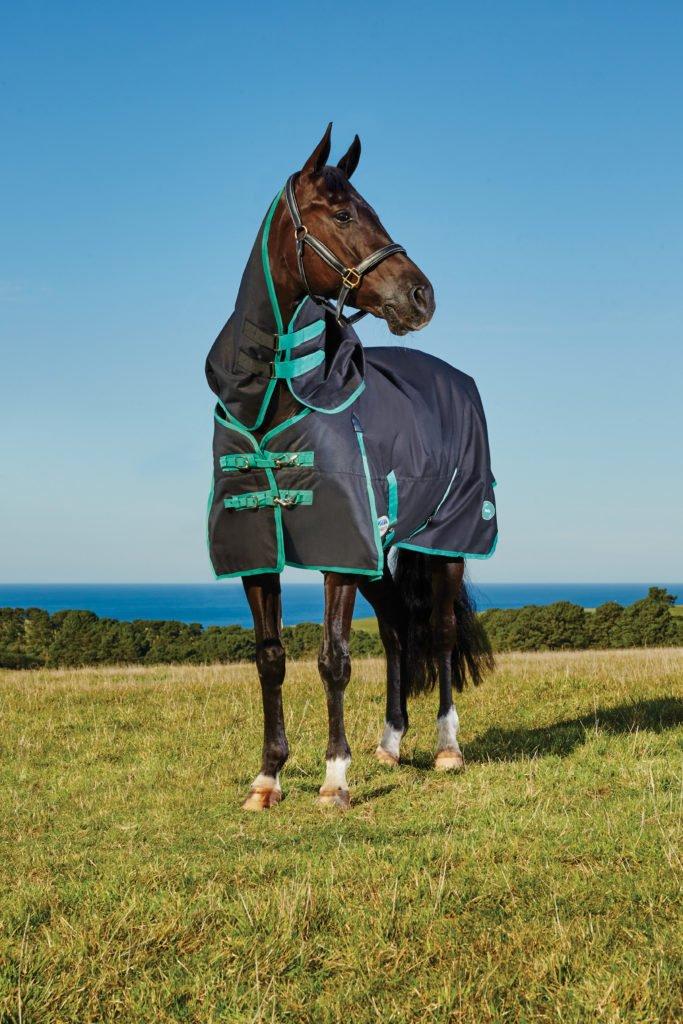 WeatherBeeta Green-Tec 900D Detach-A-Neck Turnout Rugs