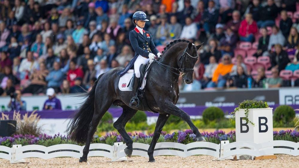 Paris Olympics 2024 Equestrian Naylors Blog Naylors