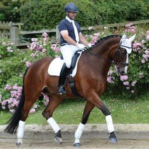 Riding Hat Rules & Regulations Effective from 2019 Naylors Blog