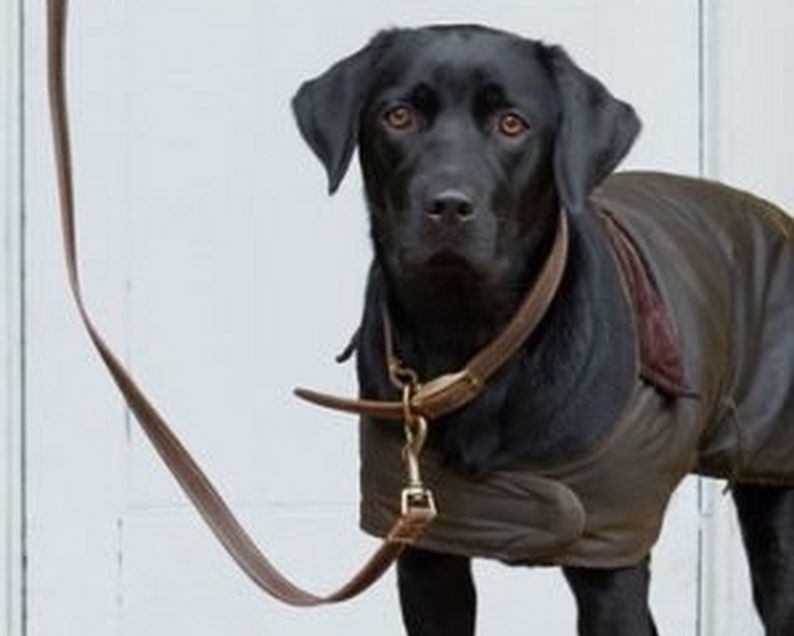Barbour Leads & Collars