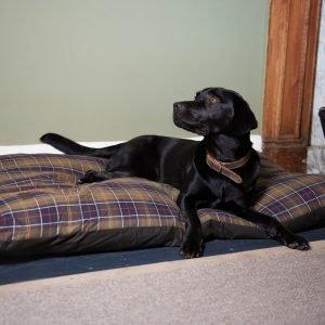 Barbour Dog Beds