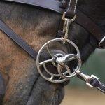 Our Choice in Bit Power: Whitaker - Relaxed Schooling