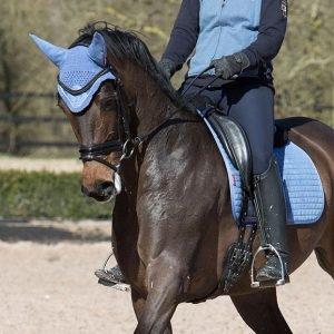 Our Choice in Bit Power: Neue Schule: Sprenger