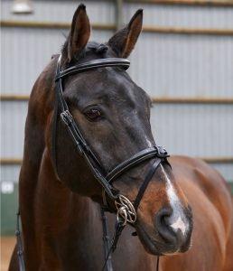 Our Choice in Bit Power: Whitaker