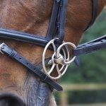 Our Choice in Bit Power: Whitaker - Everyday Riding