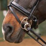 Our Choice in Bit Power: Whitaker - Crossing Jaw/Tongue over