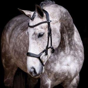 British Dressage Rule Changes PS Of Sweden Pioneer Revolution Bridle