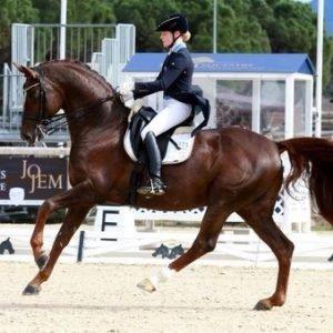 British Dressage Rule Changes