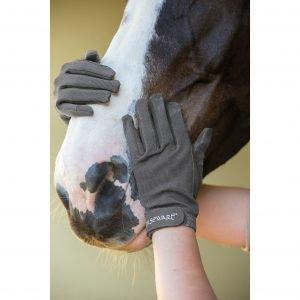 Choosing a Bit for your Horse - Mouth and Teeth