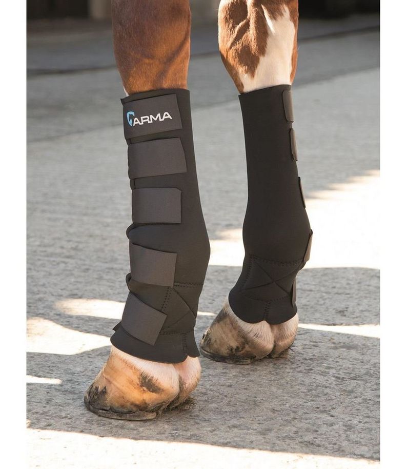 Horse Boots 101 | Which Boots Are Best For Your Horse? | Naylors Blog ...