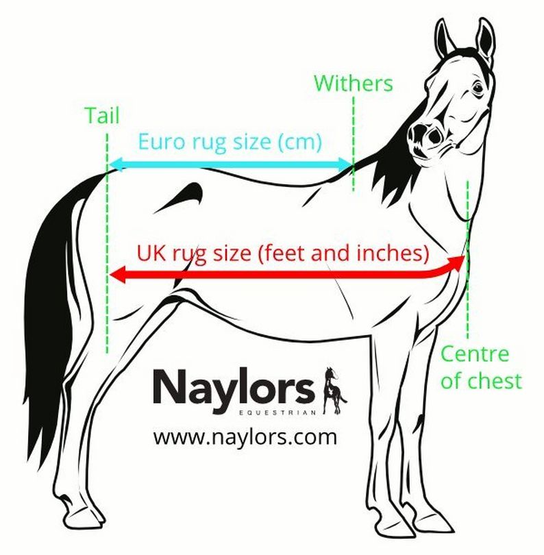 Measuring your horse