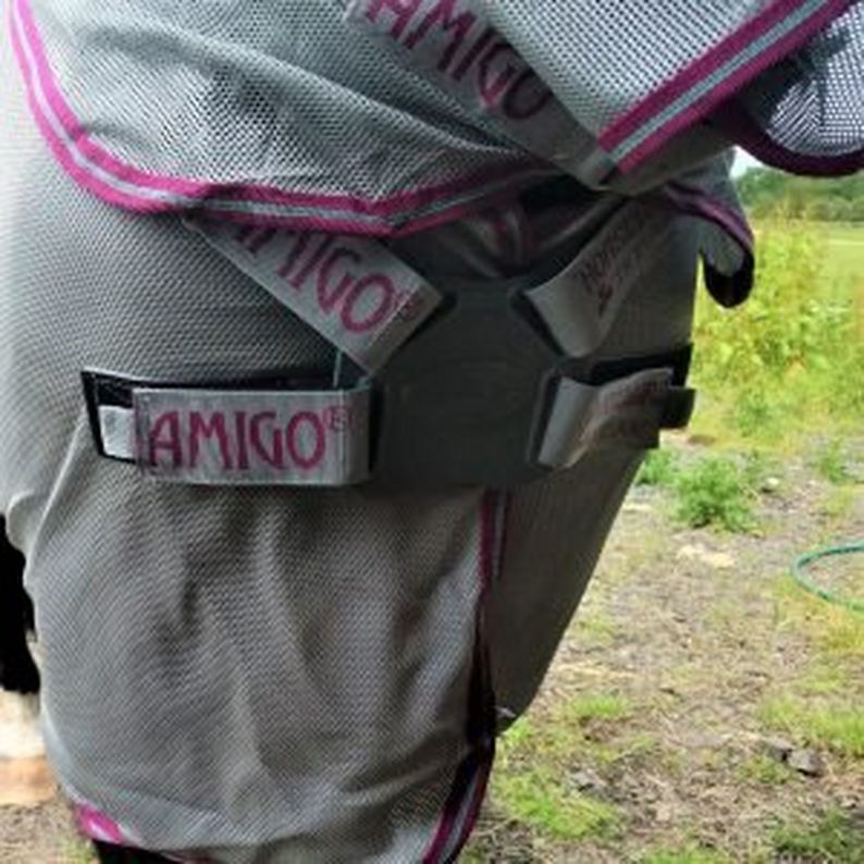 Horseware Amigo Aussie Airflow - Tried & Tested Review