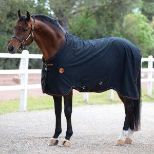 Rambo Ionic Range - Horseware-Rambo-Ionic-Stable-Sheet-BlackOrange