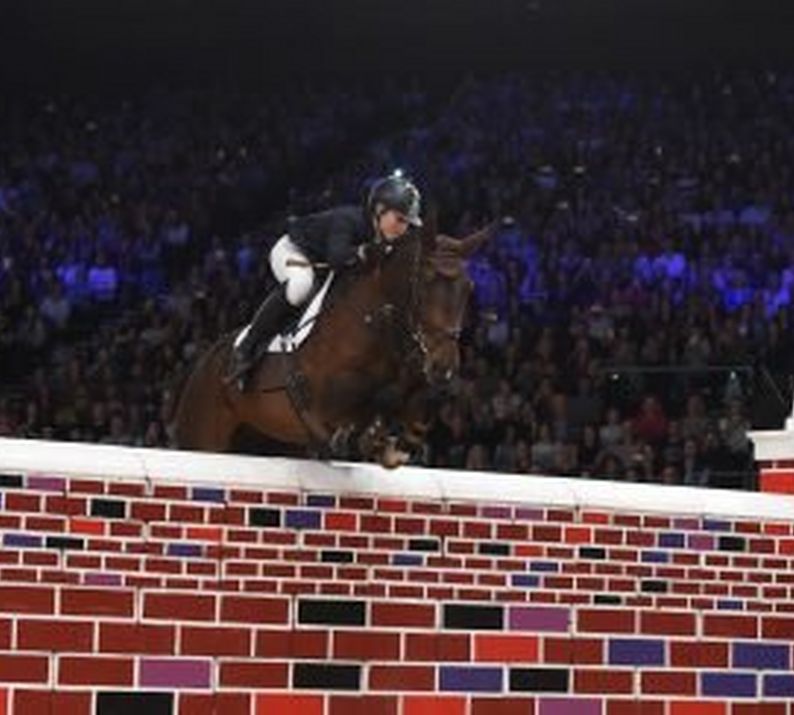 Hoys 2017 - Naylors Equestrian Puissance
