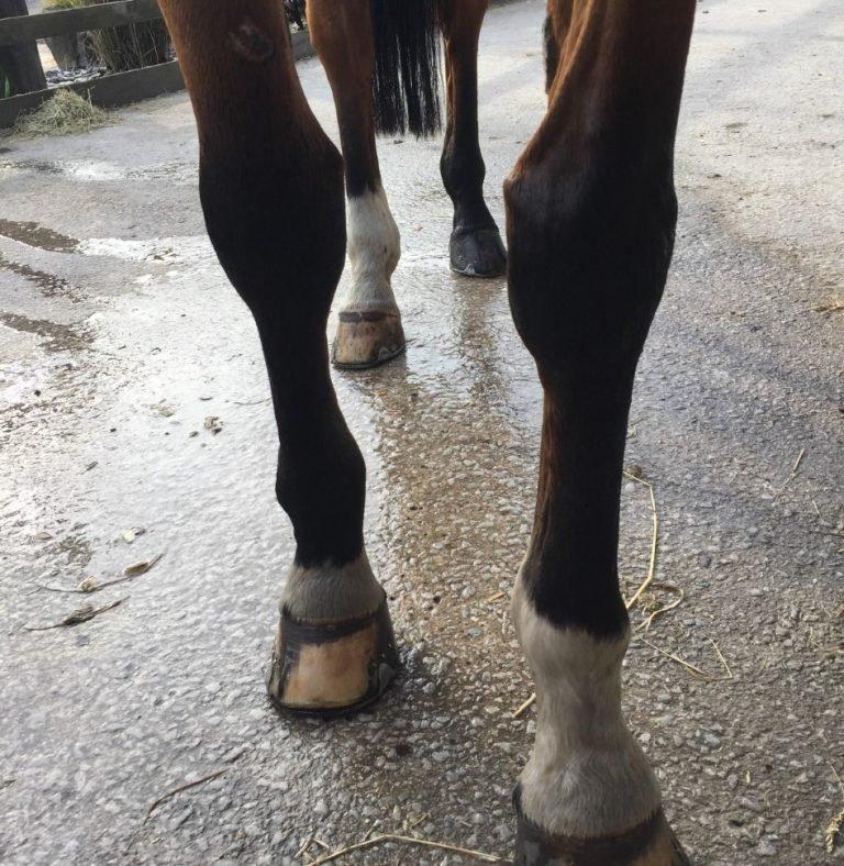 After Using The Ice-Vibe Boots