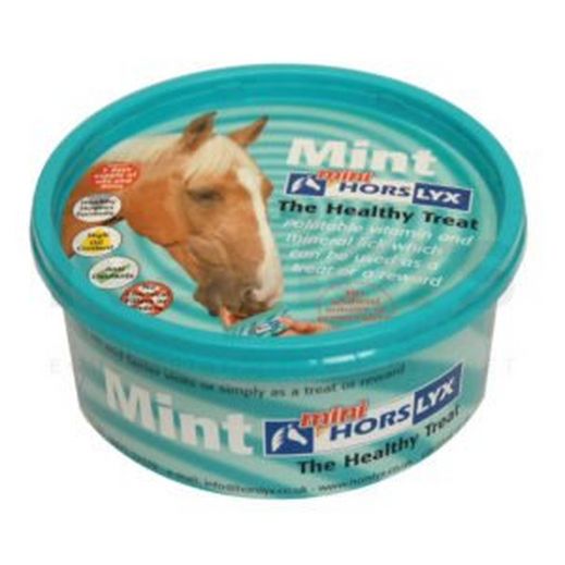 Horlyx Mini Lick Mint RRP £4.85