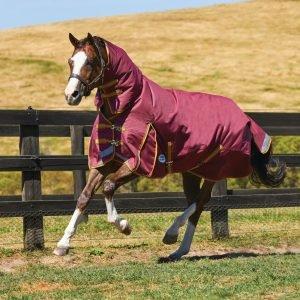 WeatherBeeta ComFiTec Plus Dynamic 220g Medium Weight Combo Turnout Rug Burgundy/Gold