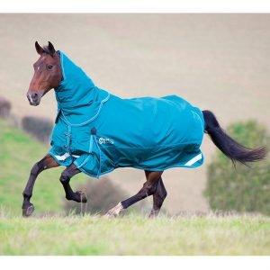 Naylors Massive Horse Rug Clearance Naylors Blog Naylors