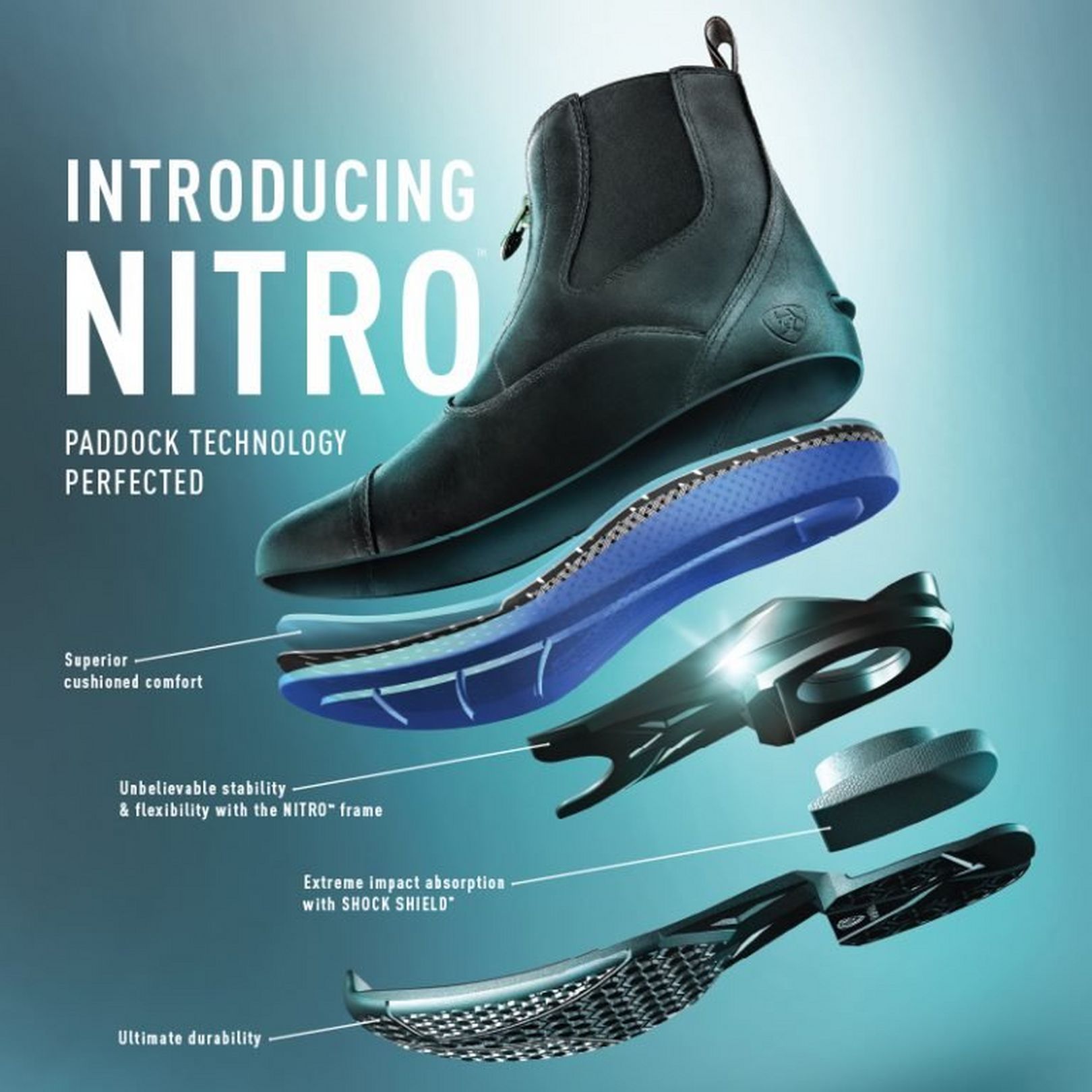 Ariat Devon Nitro Paddock Boots
