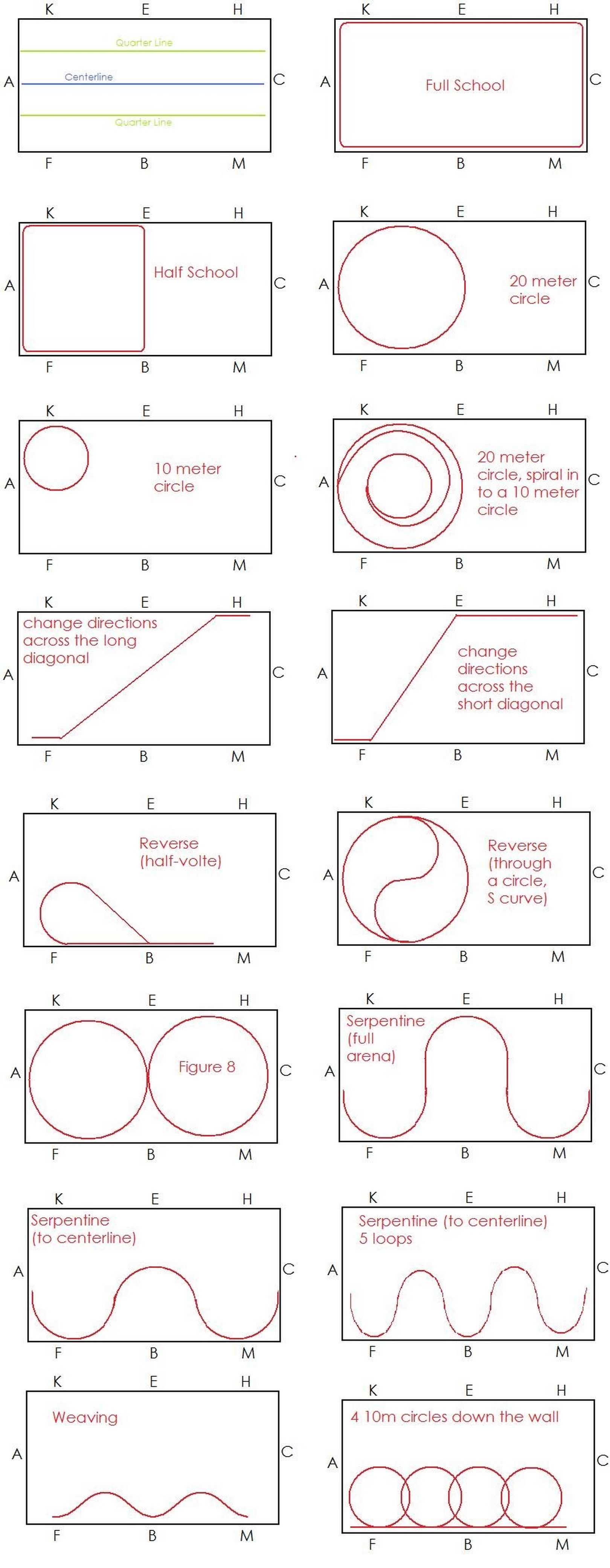 Schooling With Circles and Direction Changes