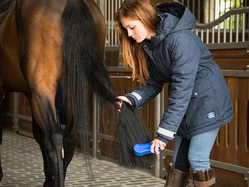 The Ultimate Grooming Kit Essentials | Tailored For Your Horse!