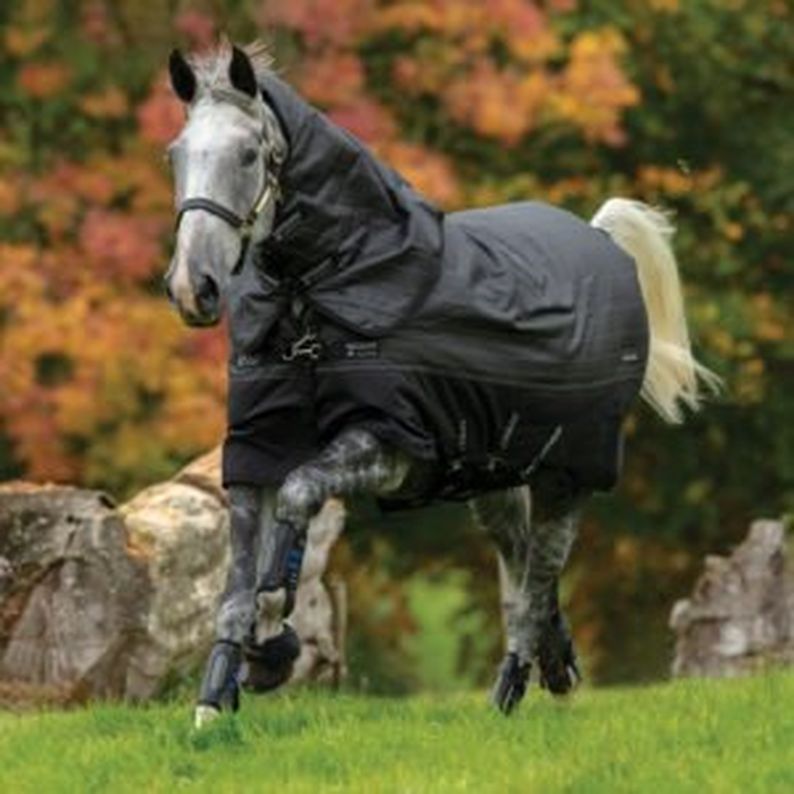 Horseware® Amigo® Bravo 12 Reflectech Plus 250g Medium Weight Detach-A-Neck Turnout Rug RRP £157.95