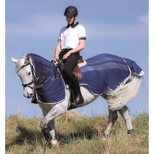 Headshaking – All You Need to Know