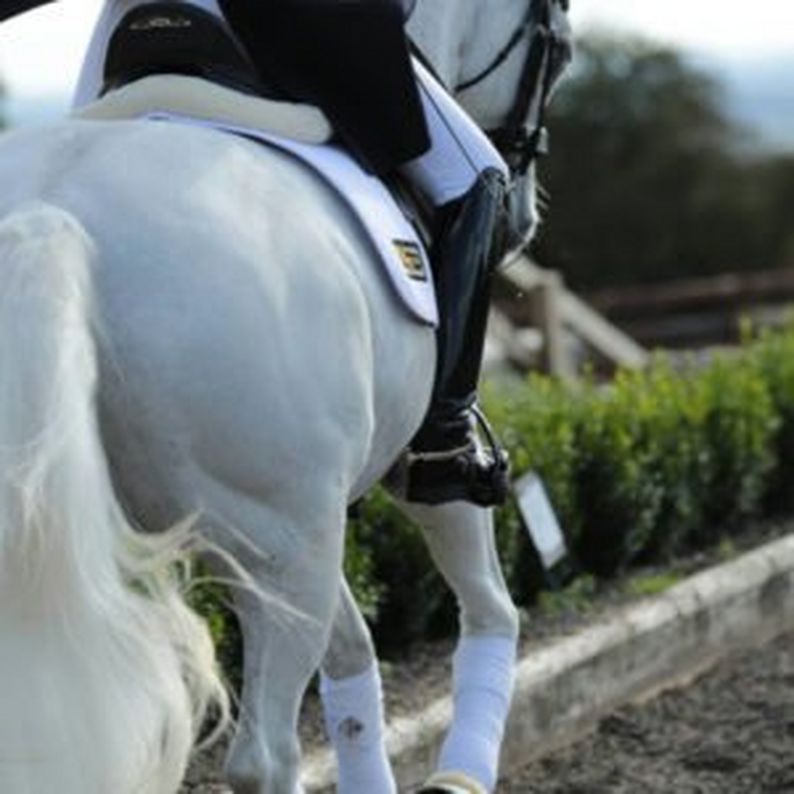 Choosing the right spurs for riding your horse – Our Guide