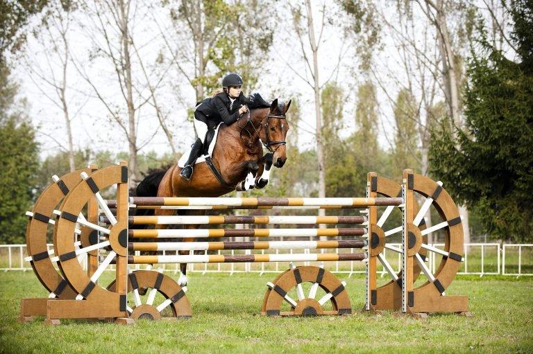 Taking the Reins: What to Wear for Your First Horse Riding Lesson