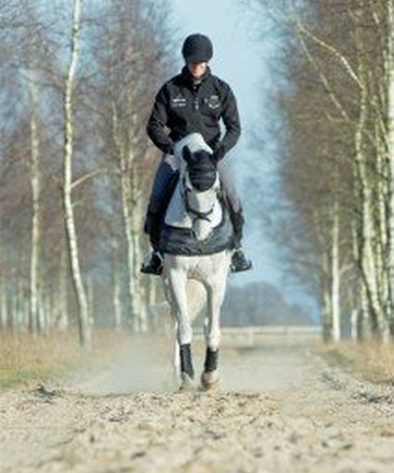 Traditional Horse Training Methods