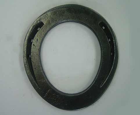 Egg-bar shoe Shoeing Vs Barefoot