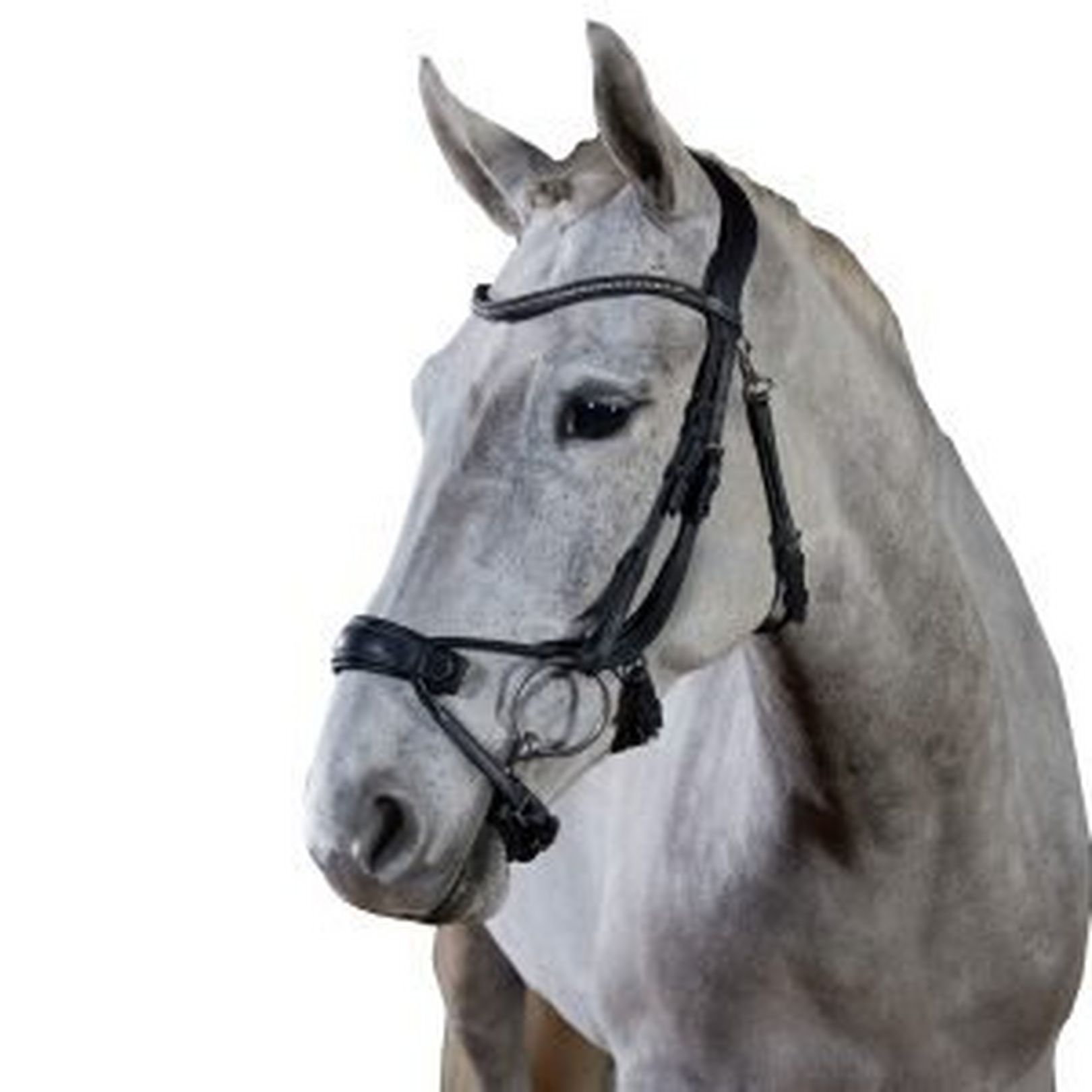 GFS Bridles - GFS Premier Alpine Bridle