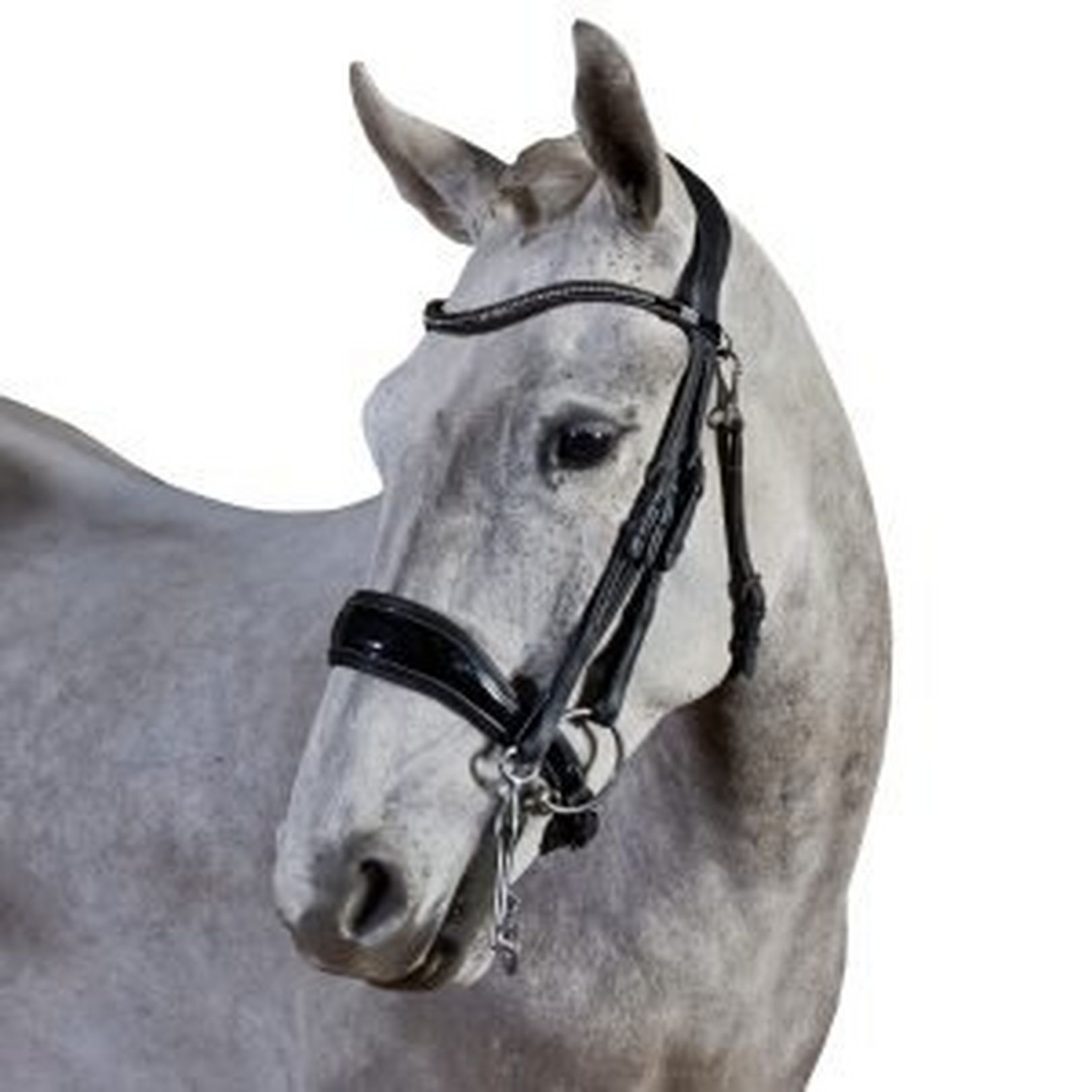 GFS Bridles - GFS Premier Avail Weymouth Bridle