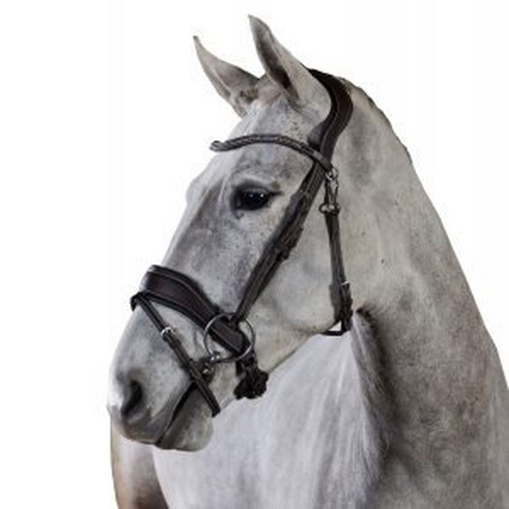 GFS Bridles - GFS Premier Prime Bridle