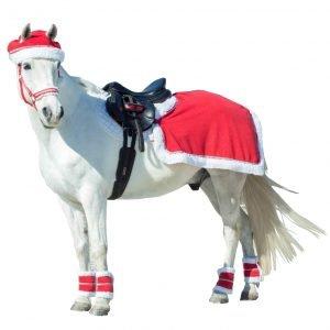 Christmas Accessories