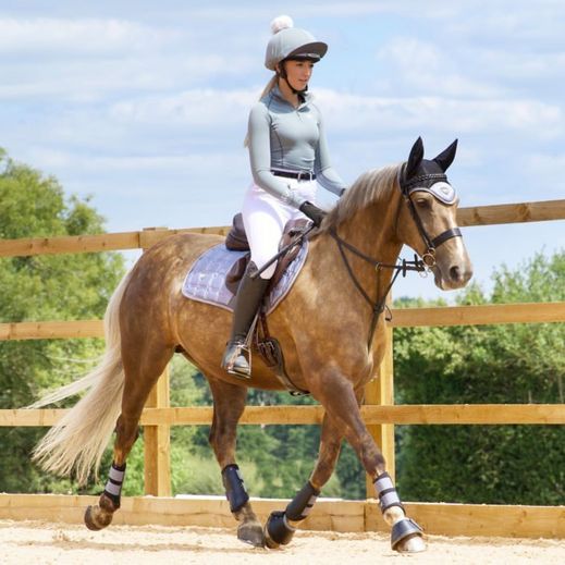 Dressage Matchy Sets – Standard Issue Equestrian