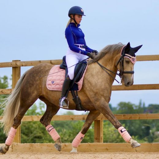 Dressage Matchy Sets – Standard Issue Equestrian