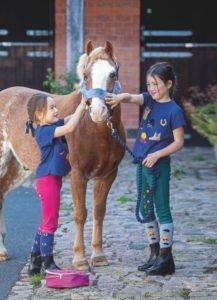 Pony Stars Junior Challenge Awards - British Horse Society