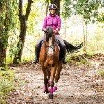 Training & Fitness for the Eventing Season