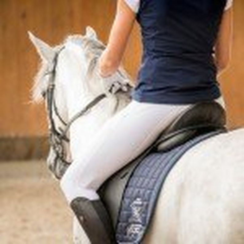 Training & Fitness for the Eventing Season