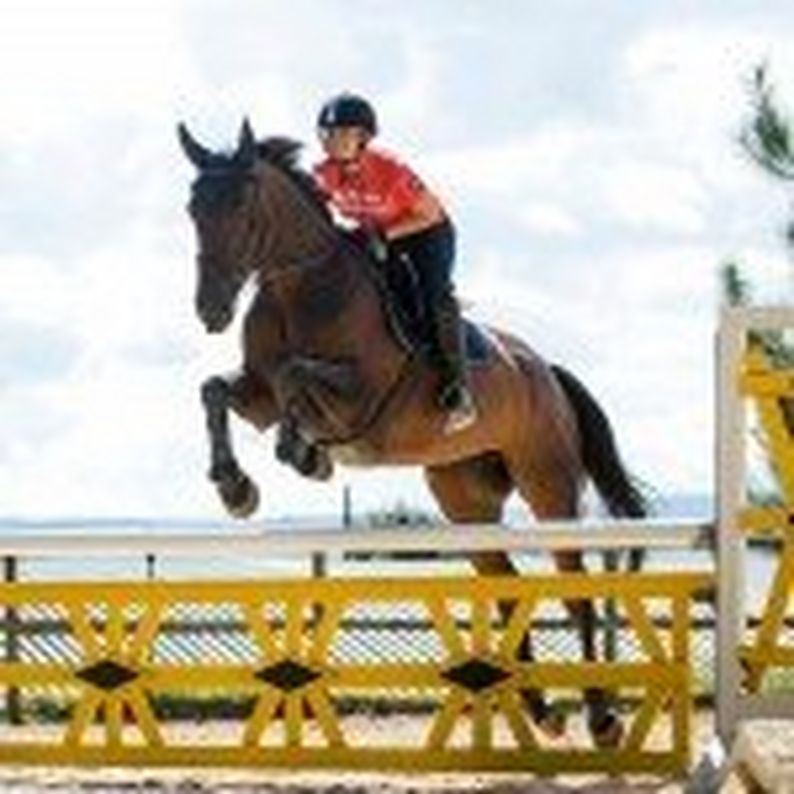 Training & Fitness for the Eventing Season