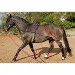 Training & Fitness for the Eventing Season