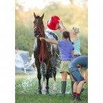 Training & Fitness for the Event Rider